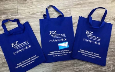 Dịch vụ in logo lên túi vải chuyên nghiệp